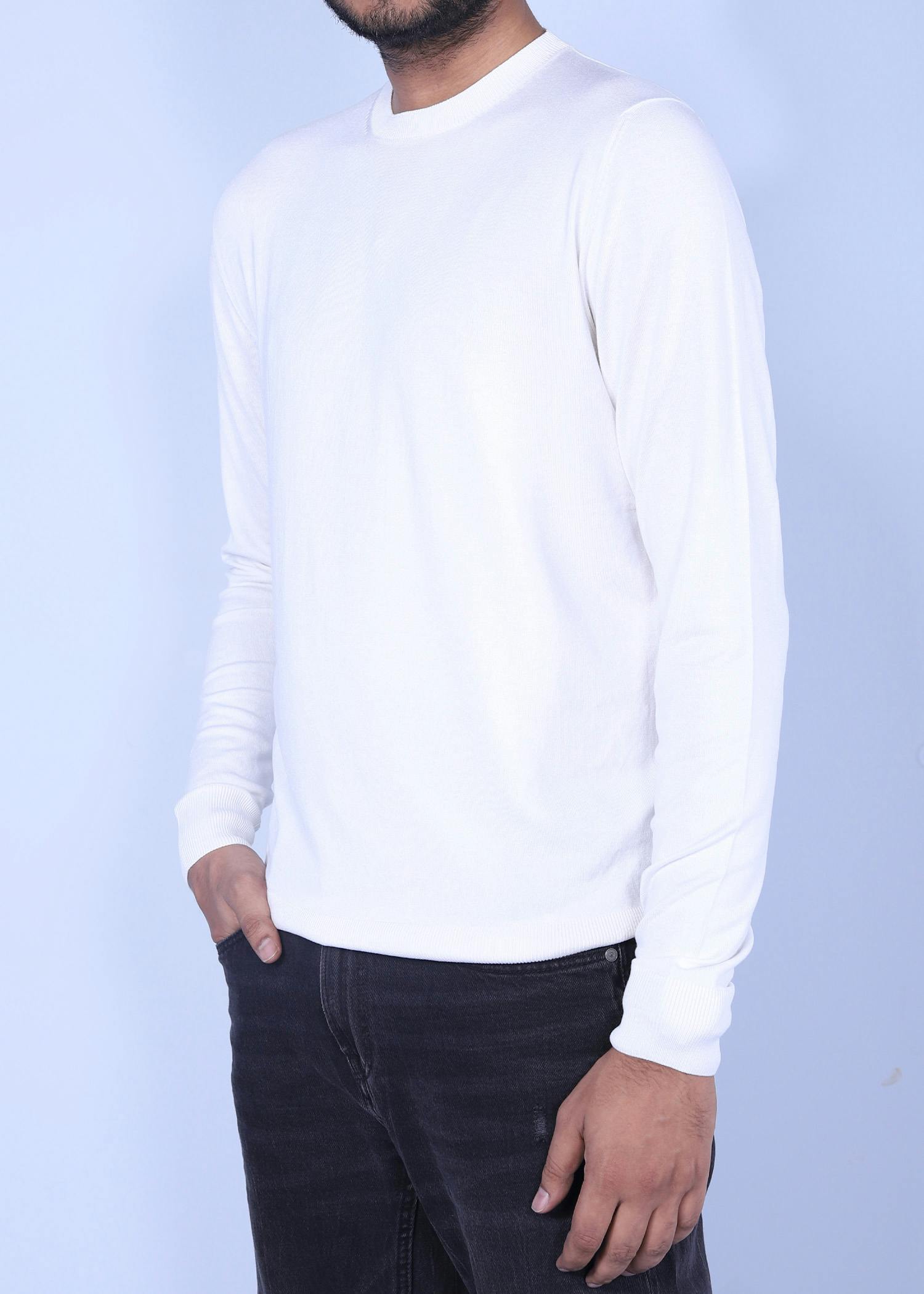 rock pigeon sweater white color half side view