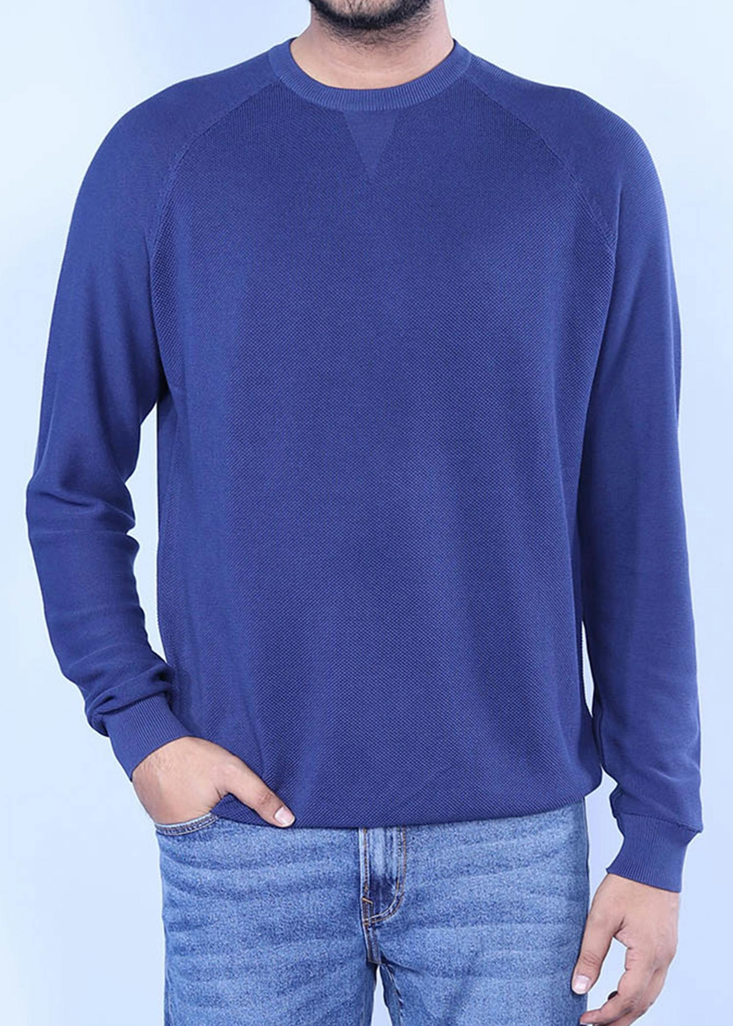spotted owl sweater  blue color full headcropped